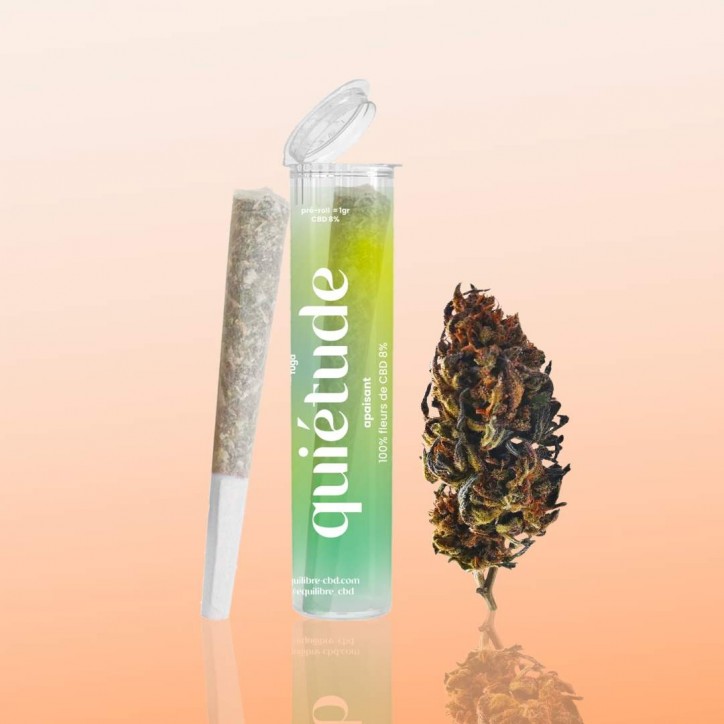 Pre roll Quiétude CBD 8% Blueberry - Equilibre Pre roll Quiétude CBD 8% Blueberry - Equilibre