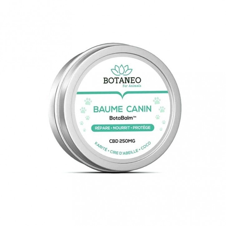 Baume CBD pour chiens 250mg - Botaneo Baume CBD pour chiens 250mg - Botaneo