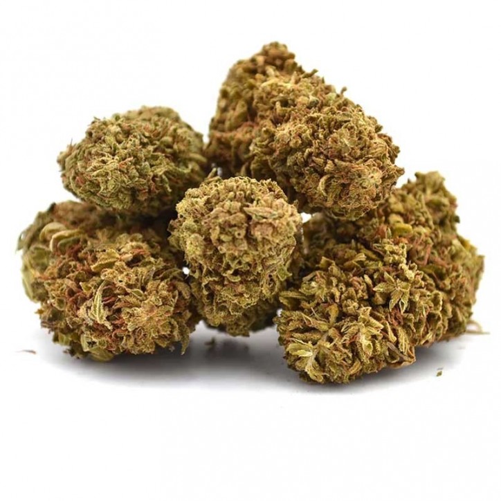 Fleur CBD Gelato Greenhouse - Mama Kana Fleur CBD Gelato Greenhouse - Mama Kana