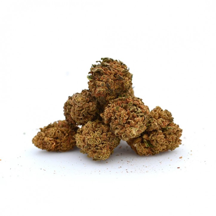 Fleur CBD Harlequin Greenhouse - Mama Kana Fleur CBD Harlequin Greenhouse - Mama Kana