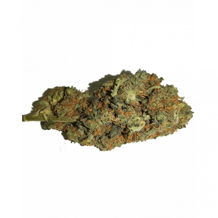 Fleur CBD Blueberry 8-10% - Million CBD Fleur CBD Blueberry 8-10% - Million CBD