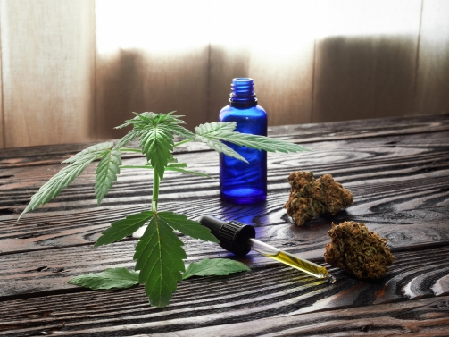 Les différentes formes de CBD expliquées simplement