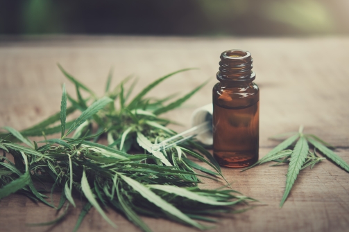 Comparaison entre le CBD et d’autres remèdes naturels