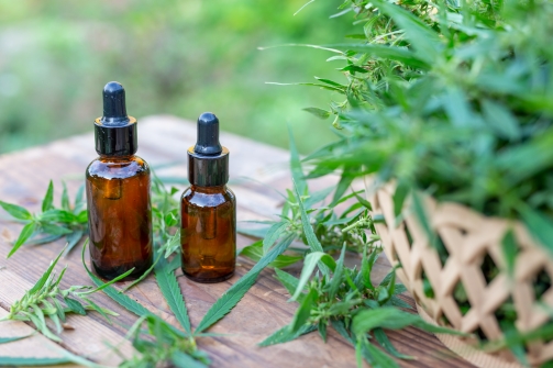 Les produits CBD les plus populaires sur le marché