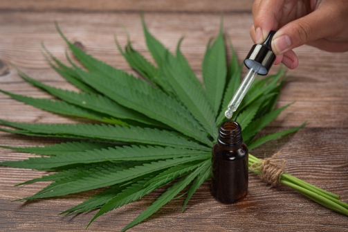 Peut-on cultiver son propre chanvre pour le CBD ?