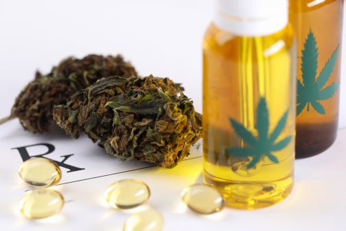 Quiz : Êtes-vous un expert en CBD ?