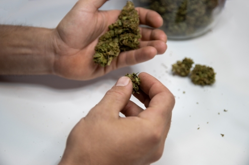 Démystifier les préjugés sur le CBD